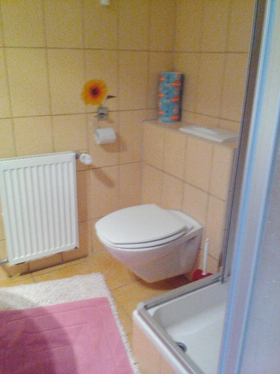 Apartmanydanielova Ceska Lipa Ngoại thất bức ảnh